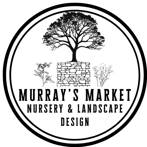 Murray’s Market (1)
