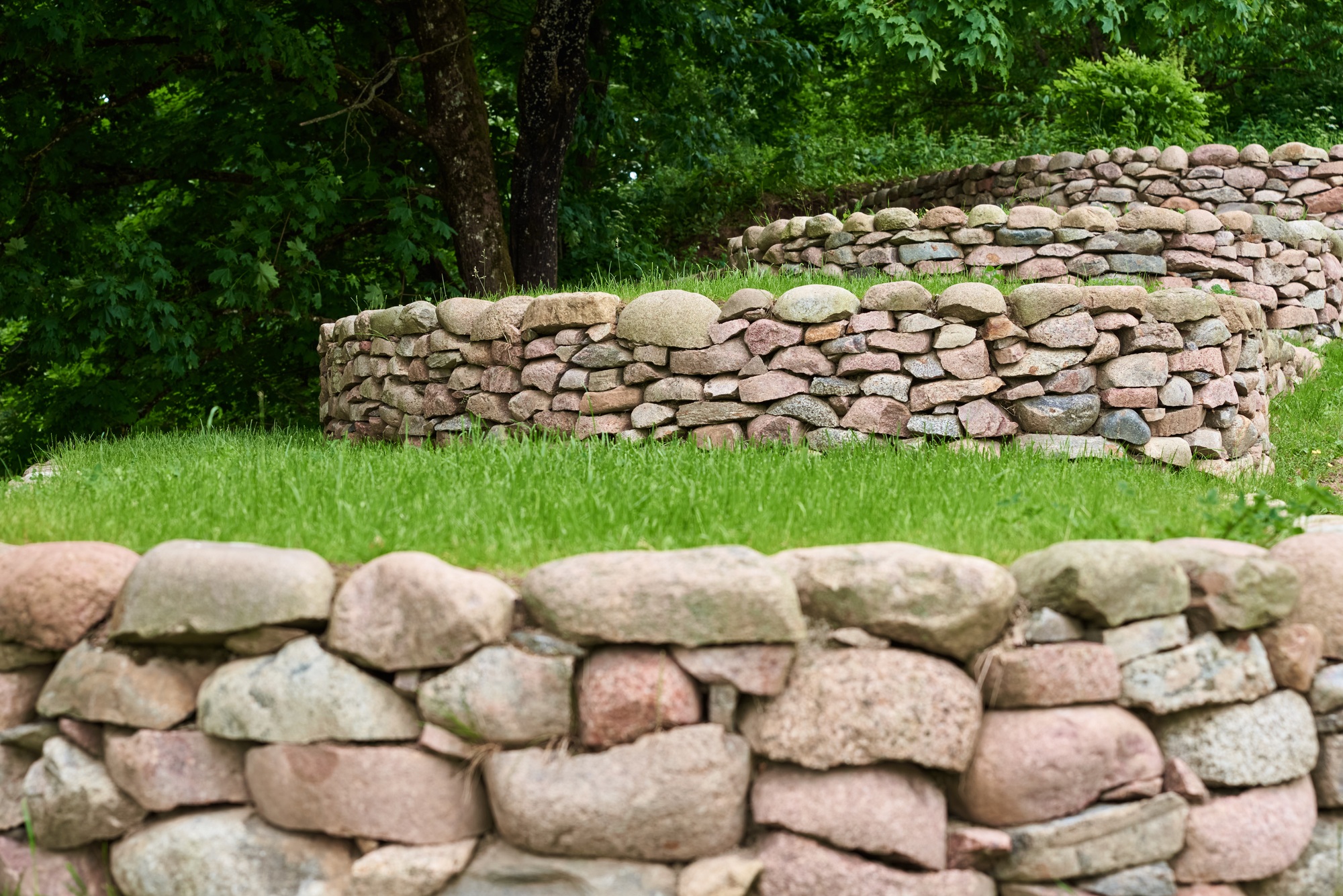 Stones and green grass, front yard. Landscape design